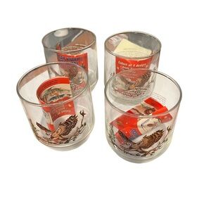 Vintage Sunco American Wildlife Spotted Owl Glasses. Set of 4